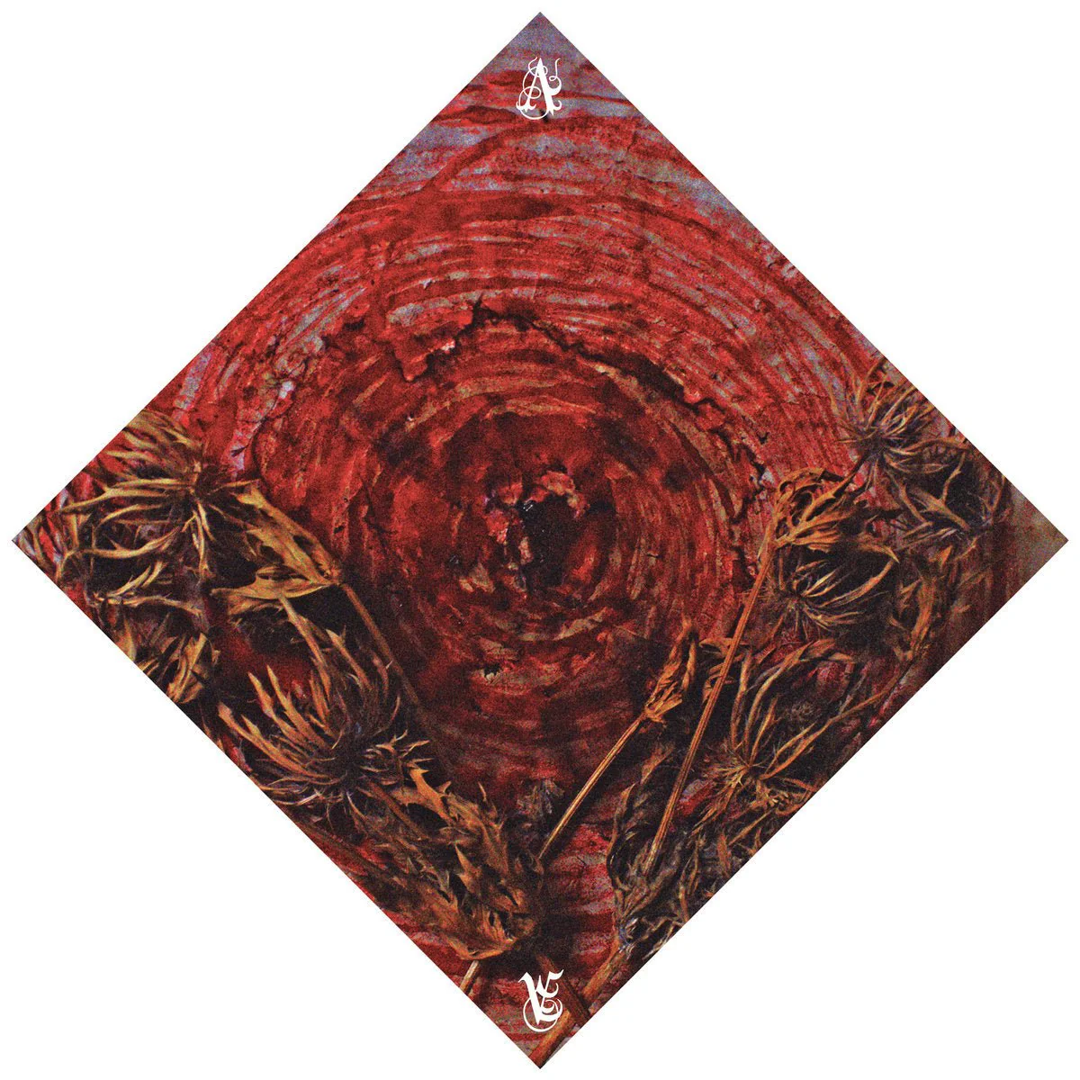 AINSOPH "Affection And Vengeance" CD