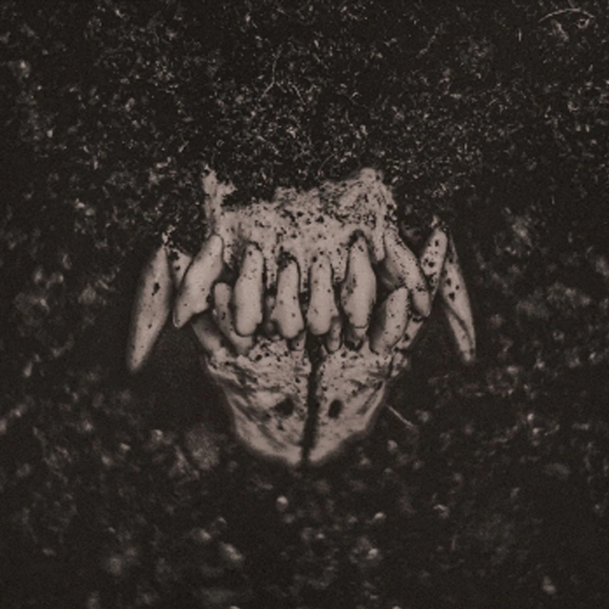 AMENRA "Mass I" CD