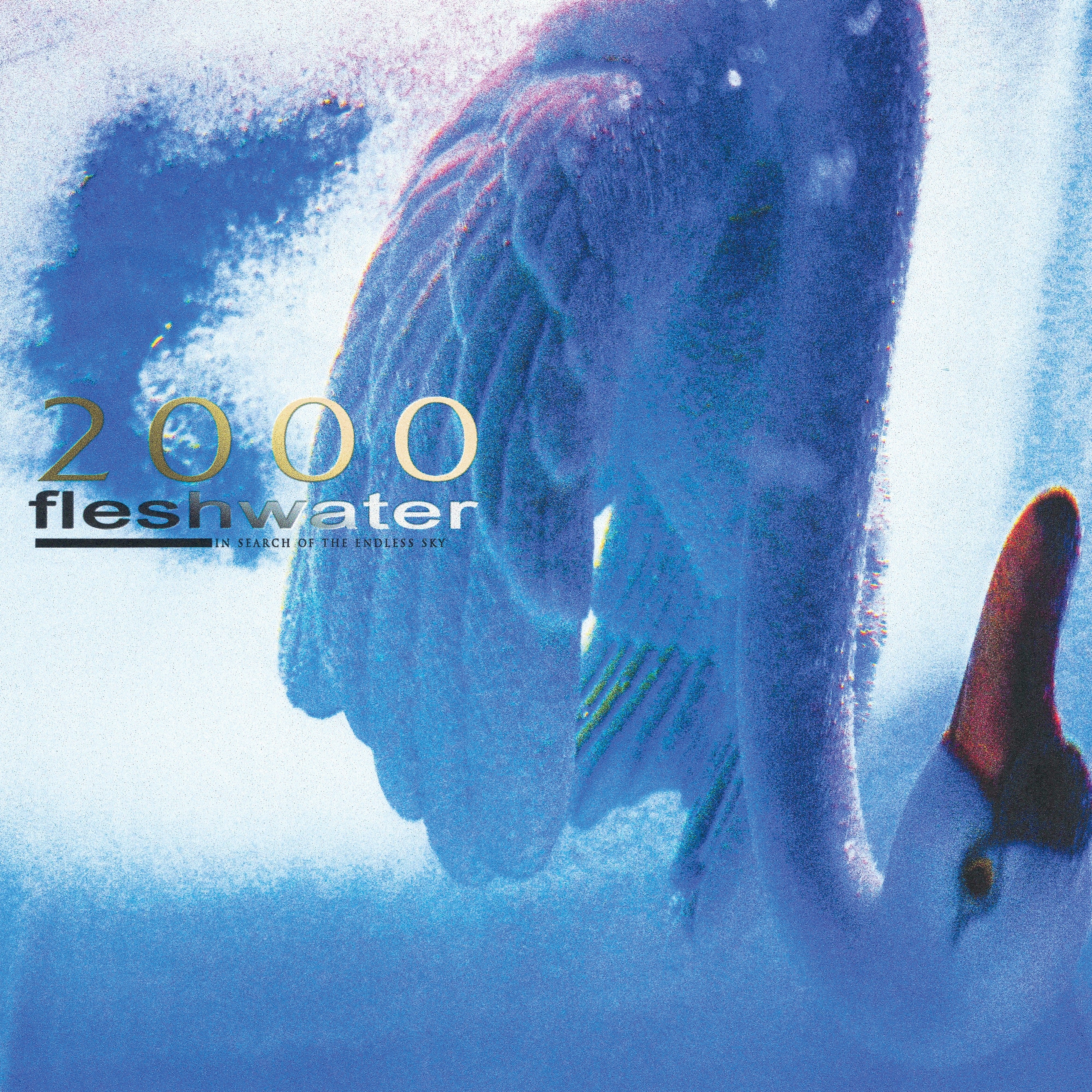 FLESHWATER "2000: In Search Of The Endless Sky" CD