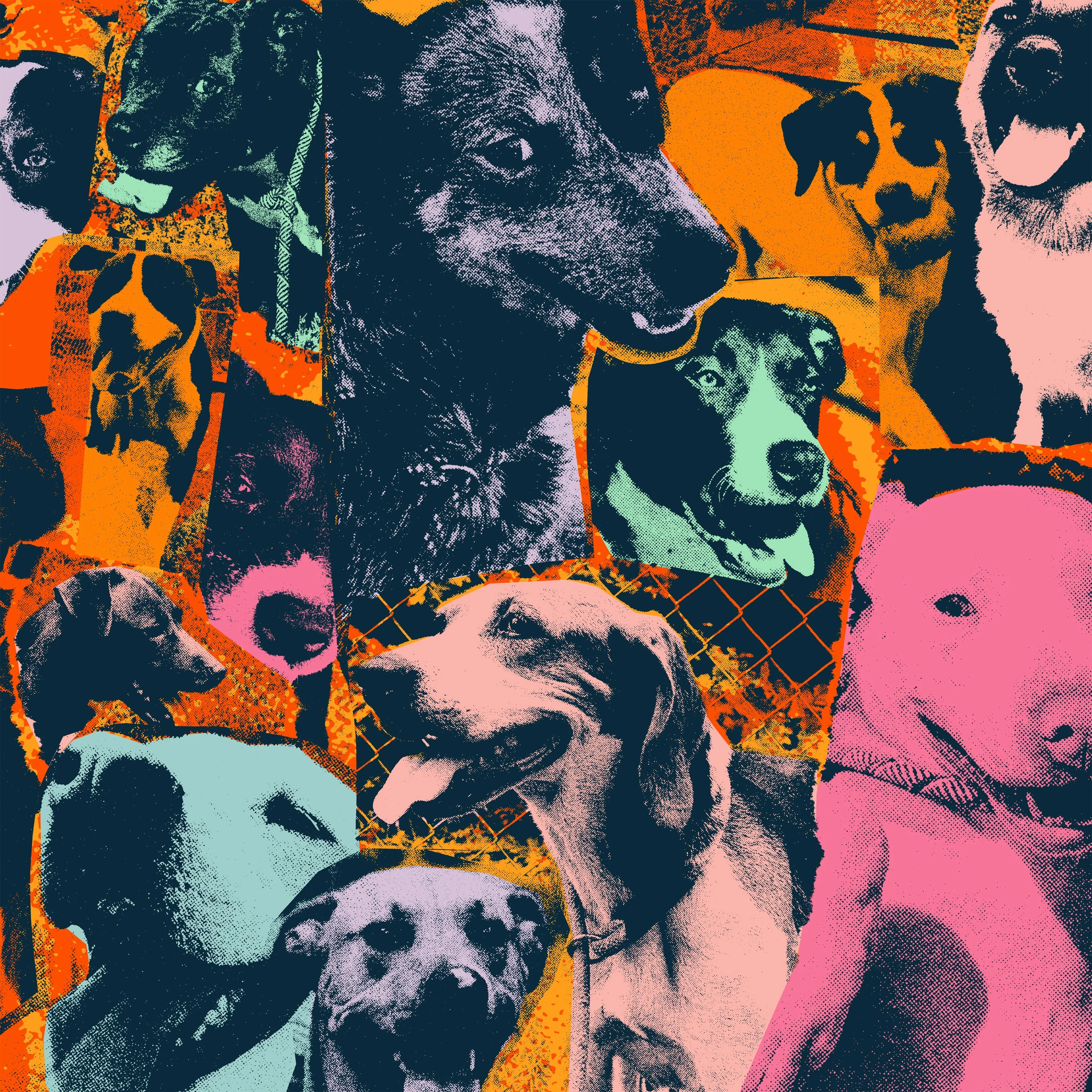 IODINE RECORDS "The Dogs Of Hope" LP