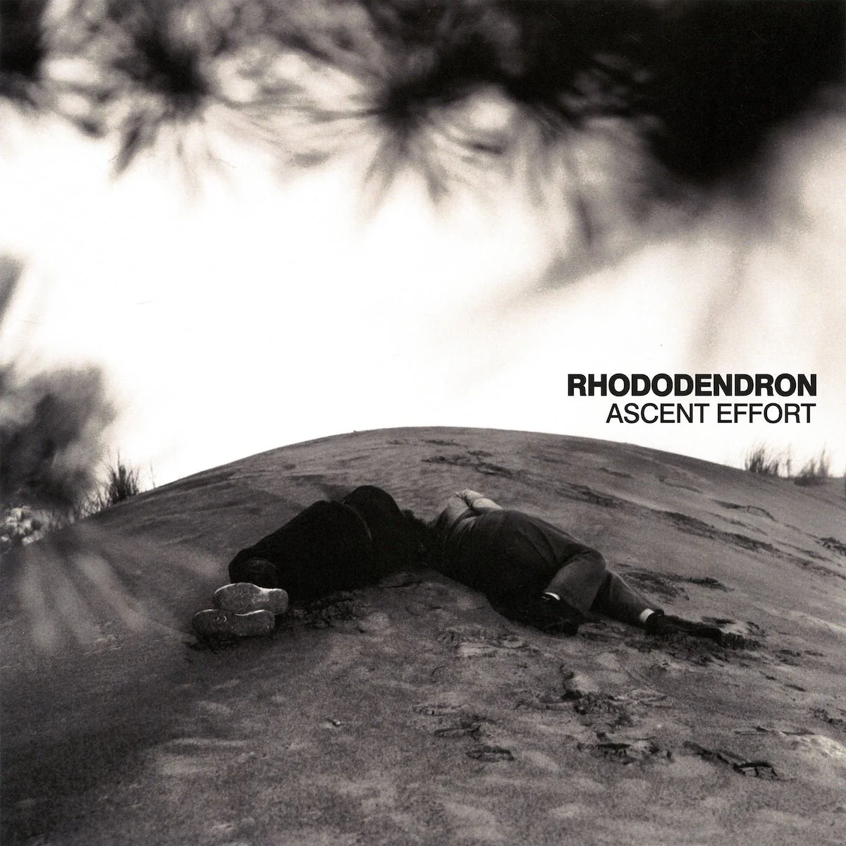 RHODODENDRON "Ascent Effort" LP